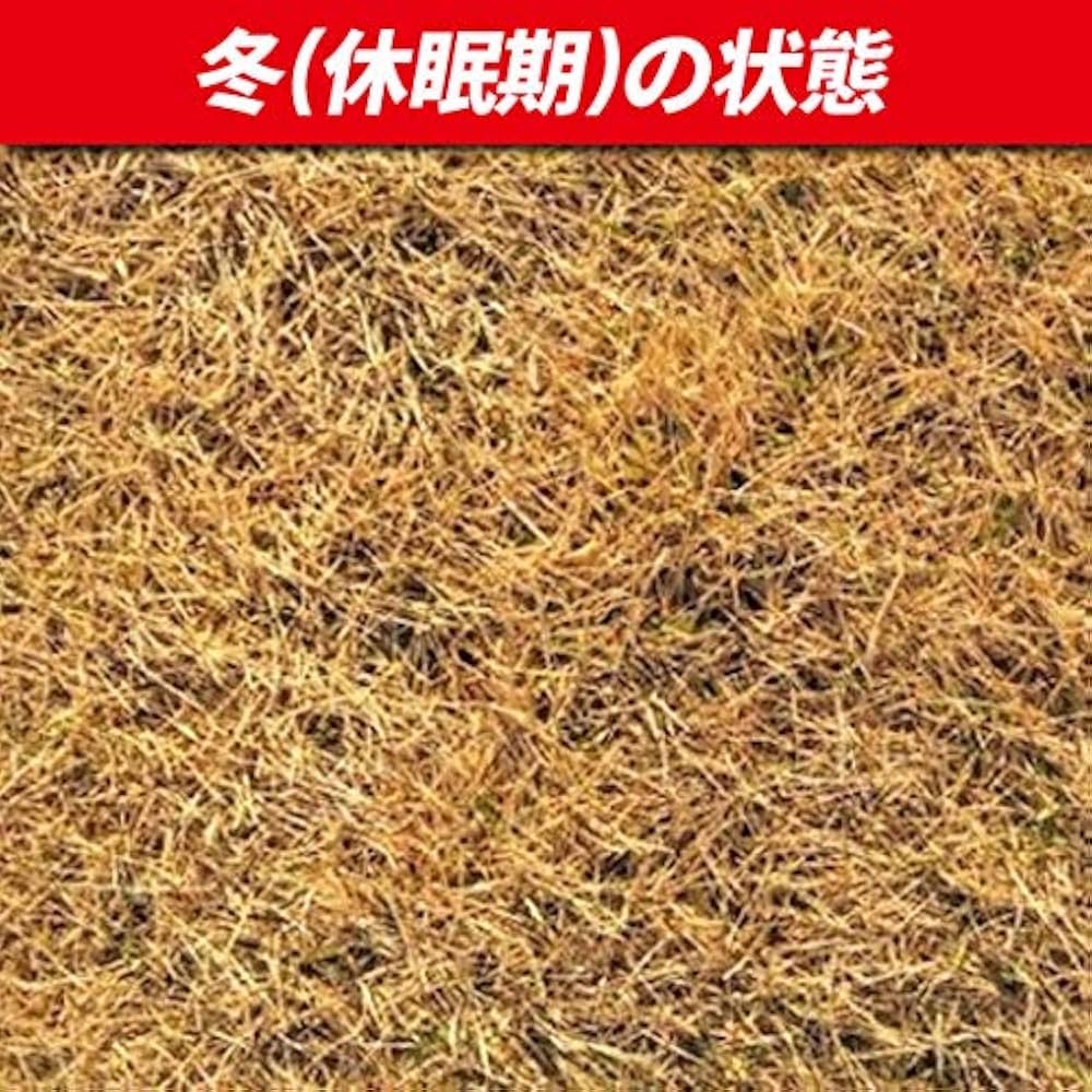 Amazon | 相馬グリーン 高麗芝 20束 ポピュラーな日本芝 | 芝生